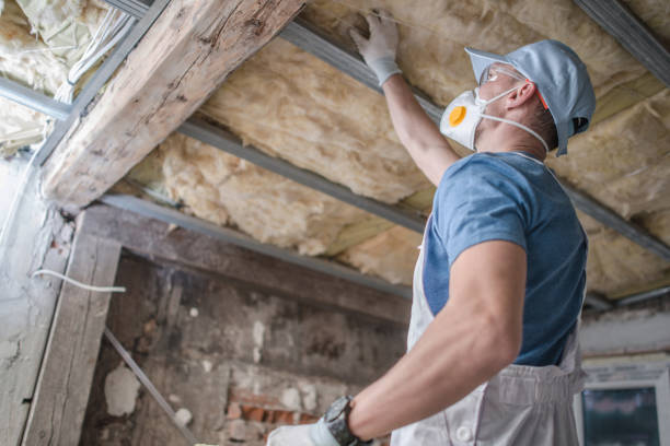 Best Insulation Maintenance and Repair in Shelby, NC